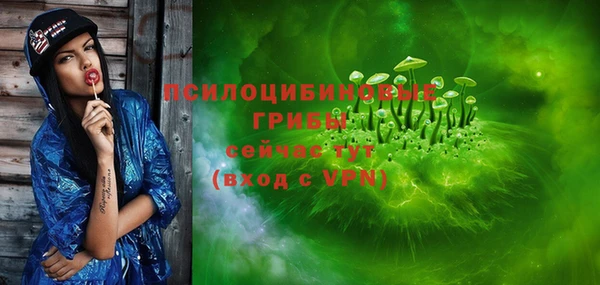 дмт Абаза